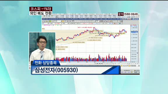 삼성전자 (005930)