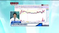 브리지텍(064480)
