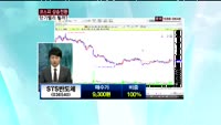STS반도체(036540)
