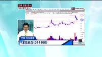 대영포장(014160)