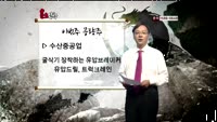 [용호상박] 이번주 공략주, 수산중공업/서울반도체