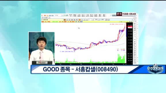 서흥캅셀(008490) 긍정적인 수급과 실적 모멘텀에 따른 상승 전망