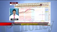 [집중관찰] 남양유업 (003920) 증권가 정보 분석