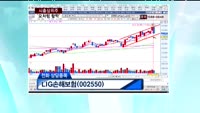 LIG손해보험(002550)
