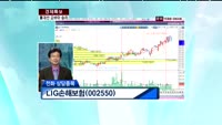 LIG손해보험(002550) 