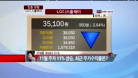 [집중관찰] LG디스플레이 (034220) 실적분석