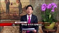 [집중관찰] 위메이드 (112040) 좋은기업 나쁜기업 결정
