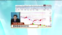 평화공정(043370)