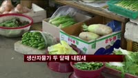 생산자물가 두 달째 내림세…무·배추는 올라