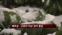 배추값ㆍ난방비 비상 관리 돌입