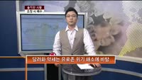 [솔직한 시황] 조정시 매수