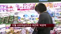 12월 소비자심리지수 여전히 '비관적'