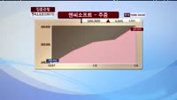 [집중관찰] 엔씨 소프트(036570) 동시 호가분석