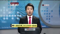 티엘아이(062860)
