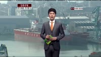[집중관찰] 한진해운 (117930) 주주 분석