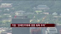기업 "경제민주화에 경영 위축 우려"