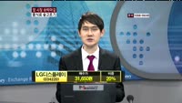 LG디스플레이(034220)