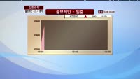 [집중관찰] 솔 브레인(036830) 시초가 분석