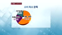 설 명절에도 소비자들의 지갑 '꽁꽁'