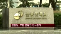 금감원, 모든 금융업 검사한다