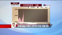 [집중관찰] 삼성정밀화학 재무분석 - 박용필 하나대투증권 부장