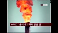 OPEC "올해 유가 폭락 없을 것"