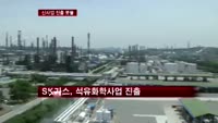 신사업 진출 봇물…새 먹거리는?
