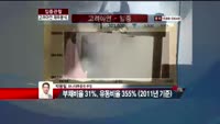 [집중관찰] 고려아연 (6) 재무분석 - 박용필 하나대투증권 부장