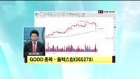 [관심종목] 플렉스컴(065270)