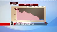 [집중관찰] SKC (3) 이슈 분석 - 박진희 동양증권 차장