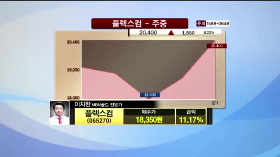 [종목진단] 플렉스컴(065270)