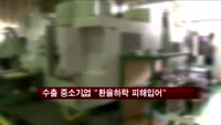 수출 중소기업 "환율하락 피해입어"