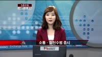 [집중관찰] LG화학 (4) CEO 분석 - 이나연 기자
