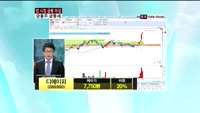 디에이피(066900)