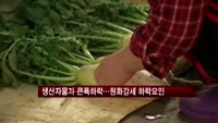 생산자물가 큰폭 하락…원화강세 요인