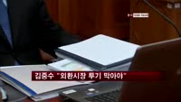 김중수 "외환시장 투기 움직임 어떤 형태든 막아야"