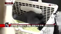[집중관찰] 한세실업 (8) 투자분석 - 이성웅 동양증권 연구원