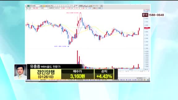 [종목진단] 경인양행(012610)