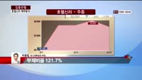 [집중관찰] 호텔 신라 (5) 재무분석 - 박용필 하나대투증권 부장