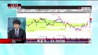 [집중관찰] 호텔신라 (9) 특징분석 - 이지한 MBN골드 전문가, 박우신 동양증권 마포지점 과장