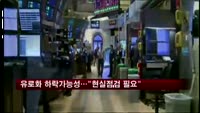 유로화 하락가능성 있어…"'현실 점검' 해야"