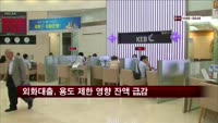 외화대출, 용도 제한 영향 잔액 급감