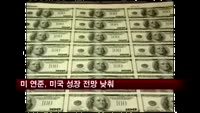 미 연준, 미국 성장 전망 낮춰…부양기조 계속
