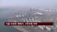 서울 아파트 매매가, 3주만에 하락