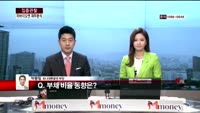 [집중관찰] 차바이오앤 (5) 재무분석 - 박용필 하나대투증권 부장