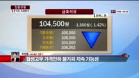 [집중관찰] 금호석유 (7) 미래분석 - 최영동 MBN 골드 전문가