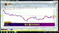 [별SHOW] 이슈종목 : 에스엘(005850), 바이오랜드(052260)