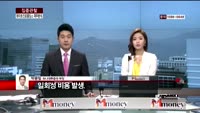 [집중관찰] 하이트진로홀딩스 (5) 재무분석 - 박용필 하나대투증권 부장
