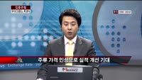 [집중관찰] 하이트진로홀딩스 (9) 특징분석 - 이지한 MBN골드 전문가,박우신 동양증권 마포지점 과장