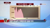 [집중관찰] SK이노베이션 (6) 주주분석 - 최은진 M머니 기자